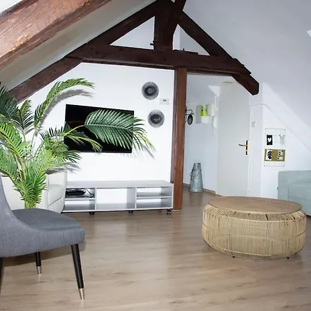 T3 Plein De Charme Au Coeur De Apartment